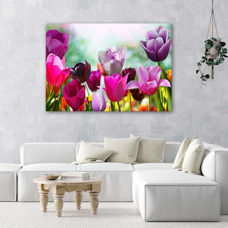 Obraz do salonu pokoju Feeby Kolorowe Tulipany na łące 120x80cm 1szt