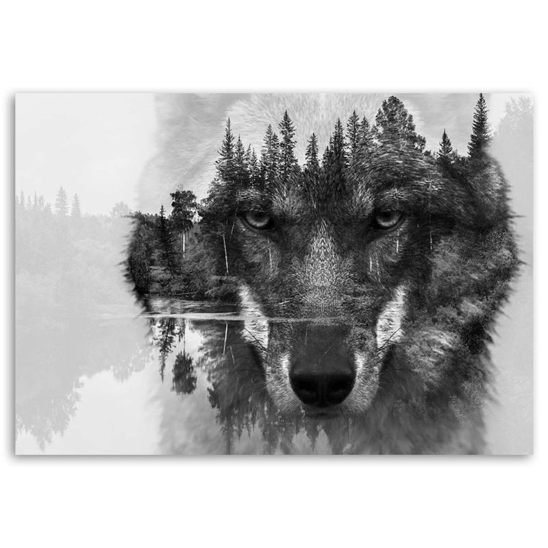 Obraz do salonu sypialni biura Feeby Wilk Zwierzęta Natura Czarno - Biały 60x40cm 1szt