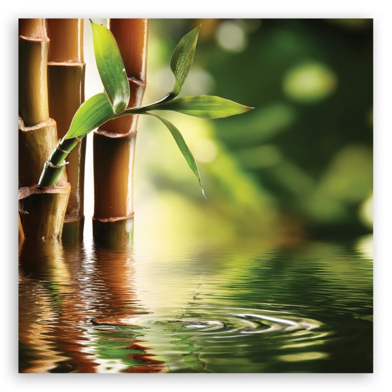 Obraz do salonu sypialni Feeby Bambus Zen 40x40 cm 1szt