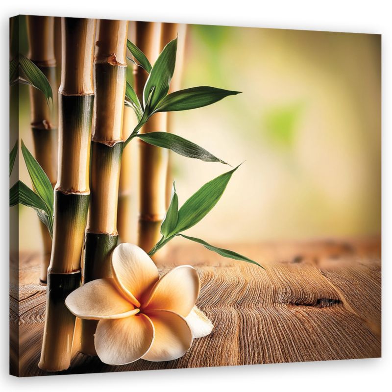 Obraz do salonu sypialni Feeby Bambusowe Kwiaty Zen 60x60 cm 1szt