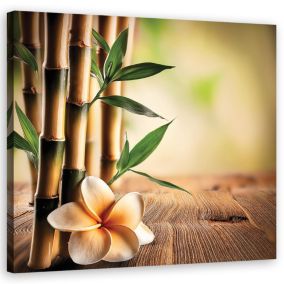 Obraz do salonu sypialni Feeby Bambusowe Kwiaty Zen 60x60 cm 1szt