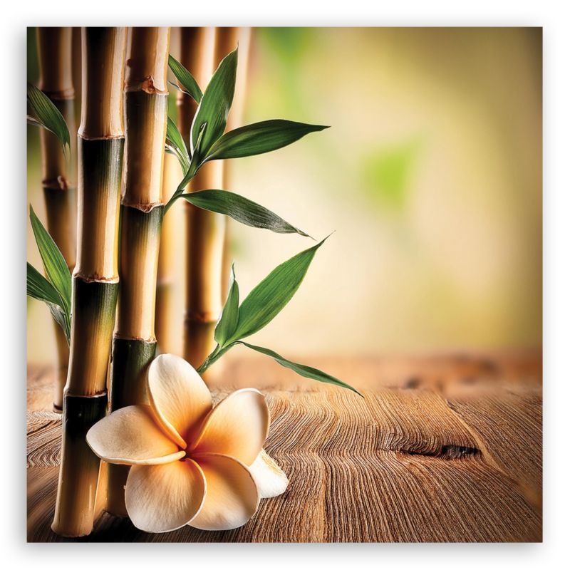 Obraz do salonu sypialni Feeby Bambusowe Kwiaty Zen 60x60 cm 1szt