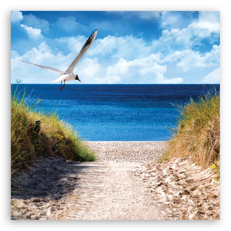 Obraz do salonu sypialni Feeby Ścieżka na plażę Niebieski 40x40cm 1szt