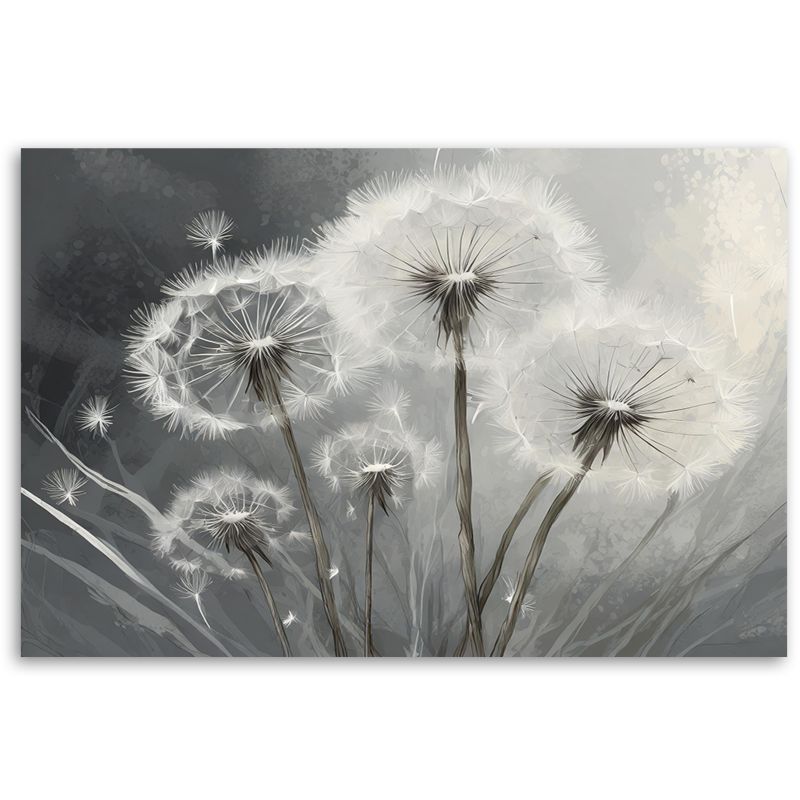 Obraz do salonu sypialni Feeby Dmuchawce Makro Białe 60x40 cm 1szt