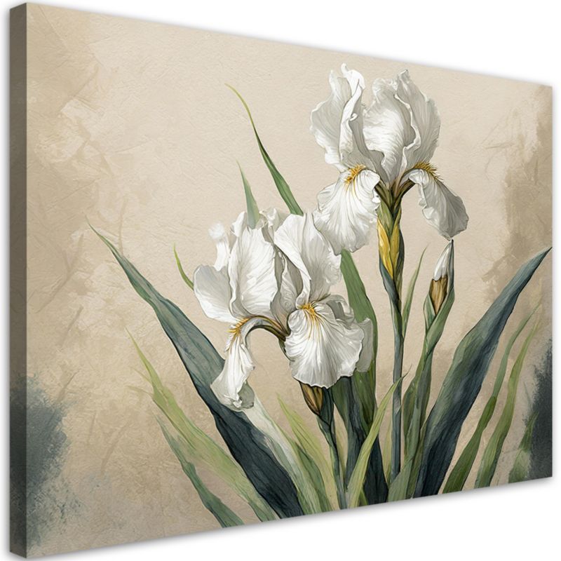 Obraz do salonu sypialni Feeby Irysy Białe Kwiaty 90x60 cm 1szt