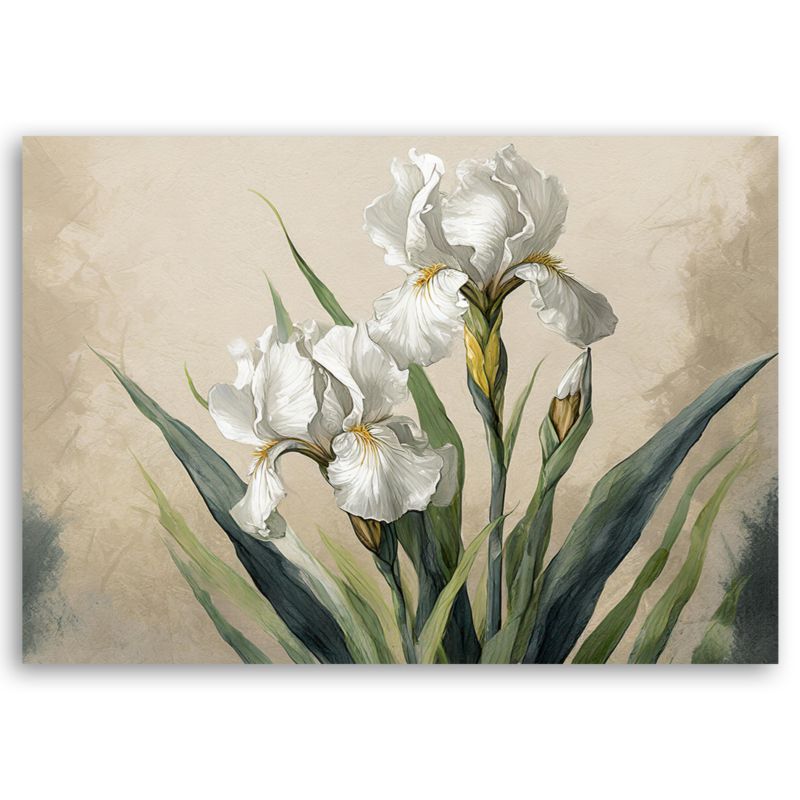 Obraz do salonu sypialni Feeby Irysy Białe Kwiaty 90x60 cm 1szt