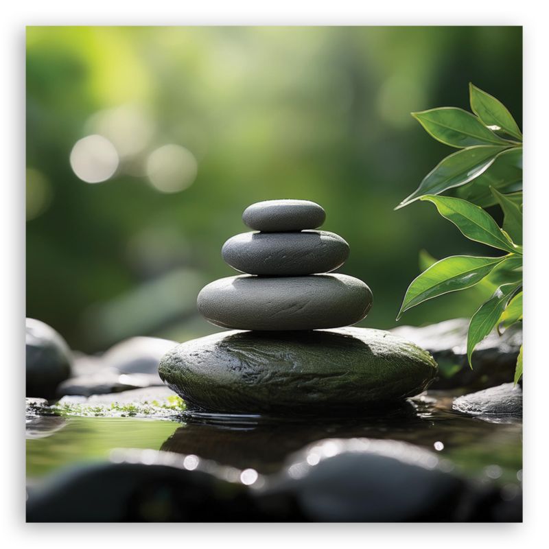 Obraz do salonu sypialni Feeby Kamienie Natura Zen 50x50 cm 1szt