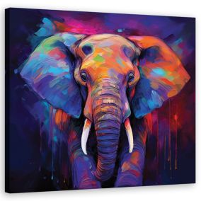Obraz do salonu sypialni Feeby Kolorowe Zwierzęta Słonie 50x50 cm 1szt