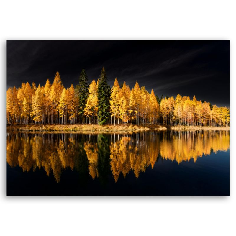 Obraz do salonu sypialni Feeby Krajobraz Las Natura Złoty 100x70 cm 1 szt