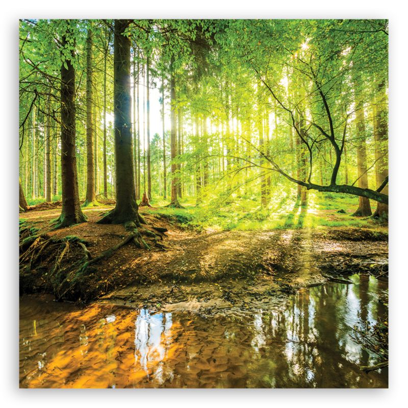 Obraz do salonu sypialni Feeby Las Jezioro Natura Zielony 50x50cm 1szt