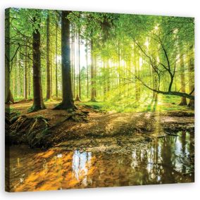 Obraz do salonu sypialni Feeby Las Jezioro Natura Zielony 60x60cm 1szt