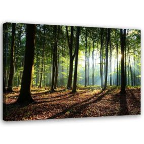 Obraz do salonu sypialni Feeby Las o wschodzie Słońca Pejzaż 120x80cm 1szt