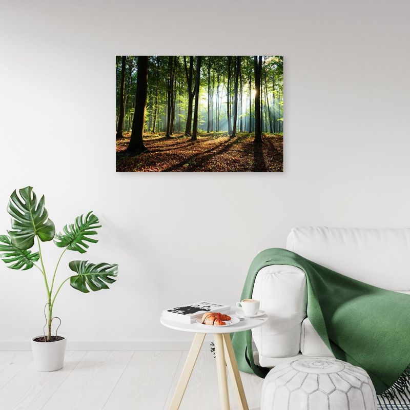 Obraz do salonu sypialni Feeby Las o wschodzie Słońca Pejzaż 120x80cm 1szt