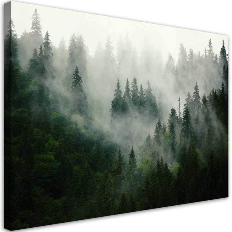 Obraz do salonu sypialni Feeby Las we mgle Krajobraz Zielony 120x80cm 1szt