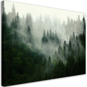 Obraz do salonu sypialni Feeby Las we mgle Krajobraz Zielony 120x80cm 1szt