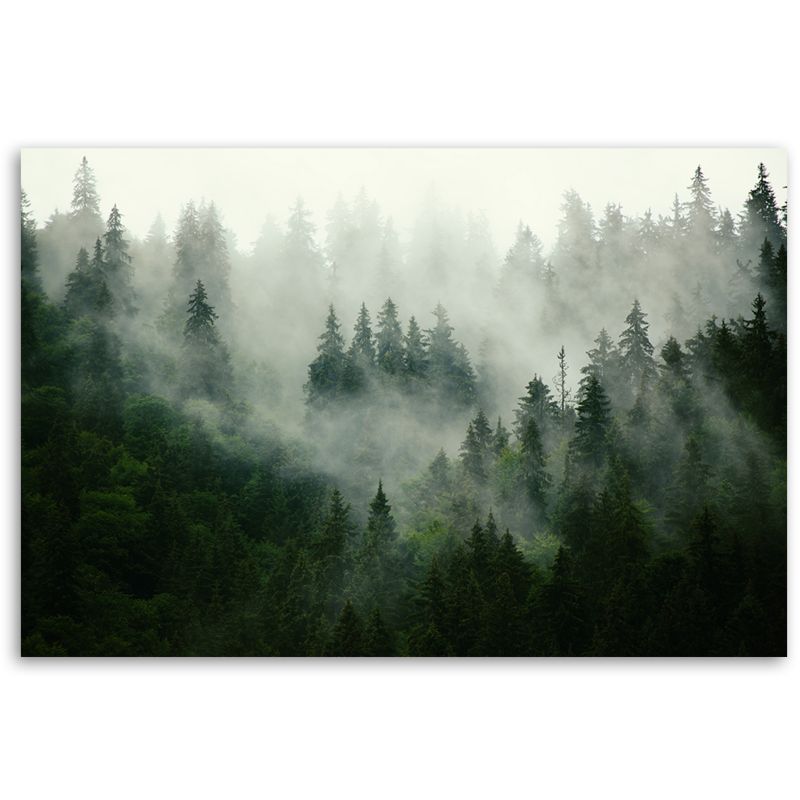Obraz do salonu sypialni Feeby Las we mgle Krajobraz Zielony 120x80cm 1szt