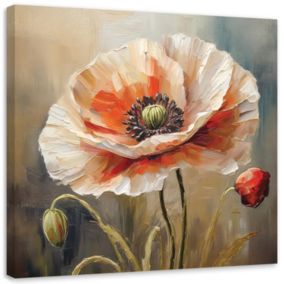 Obraz do salonu sypialni Feeby Mak Kwiat Natura 50x50 cm 1szt