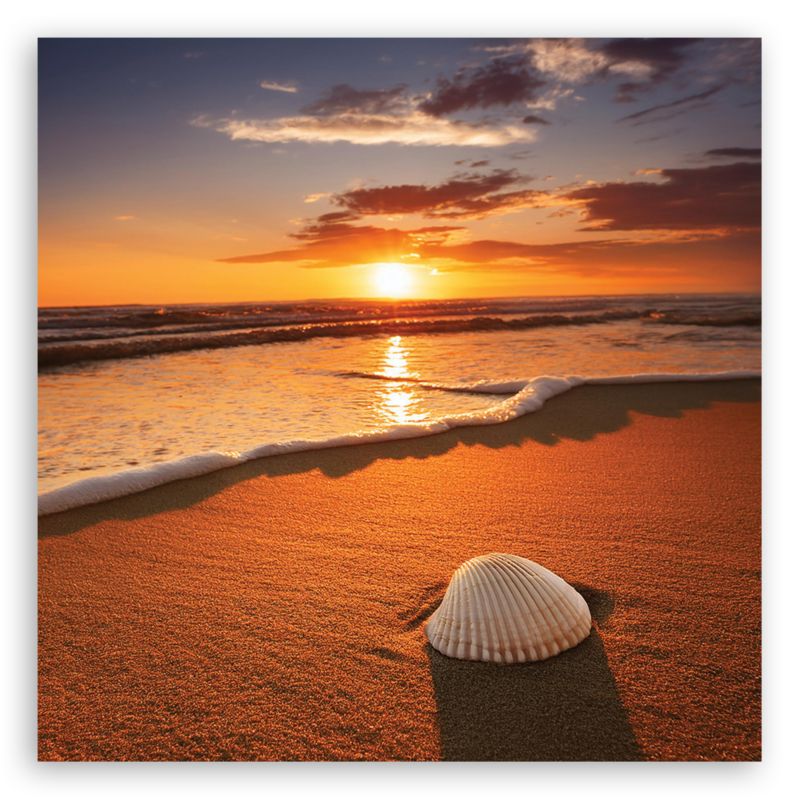 Obraz do salonu sypialni Feeby Muszla Plaża Słońce 30x30 cm 1szt