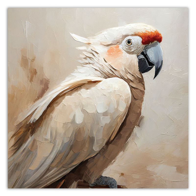 Obraz do salonu sypialni Feeby Papuga Ptaki Beżowy 50x50 cm 1szt
