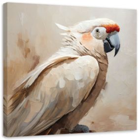 Obraz do salonu sypialni Feeby Papuga Ptaki Beżowy 60x60 cm 1szt