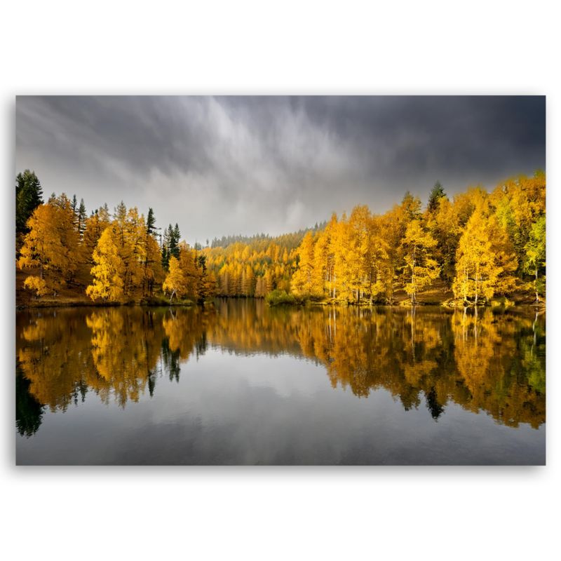 Obraz do salonu sypialni Feeby Żółty Jesienny Las Natura Krajobraz 90x60 cm 1 szt