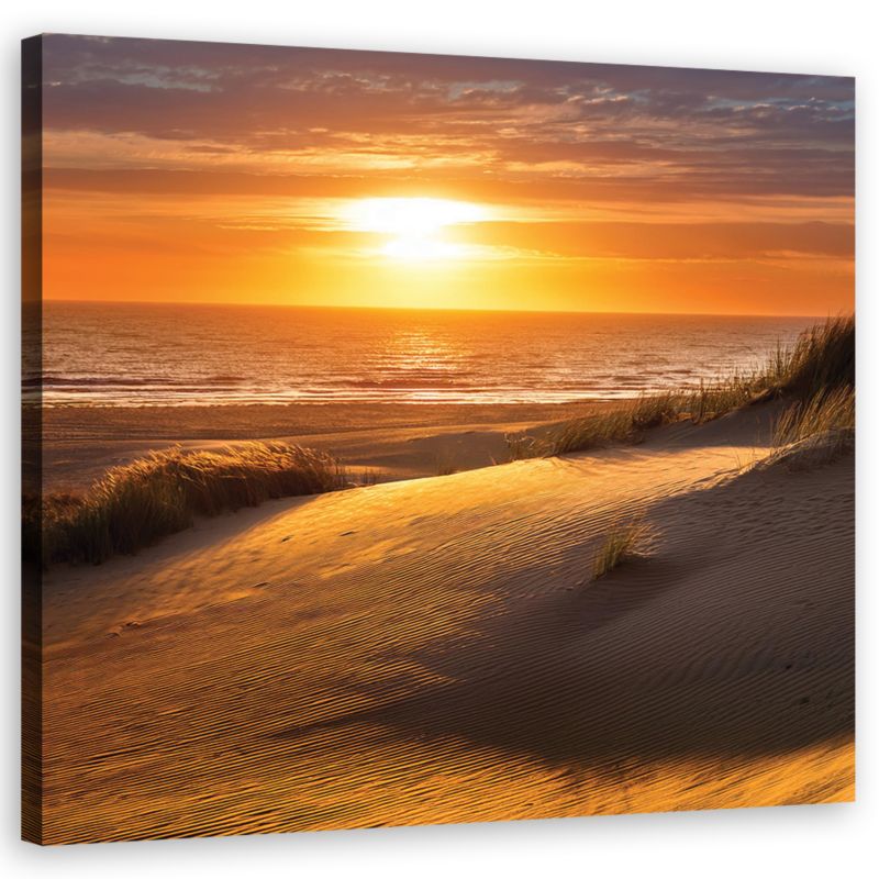 Obraz do salonu sypialni Feeby Zachód Słońca Plaża Natura 50x50 cm 1szt