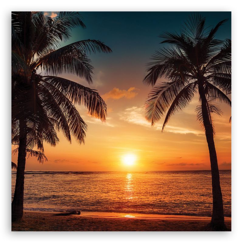Obraz do salonu sypialni Feeby Zachód Słońca Plaża Palmy 30x30 cm 1szt