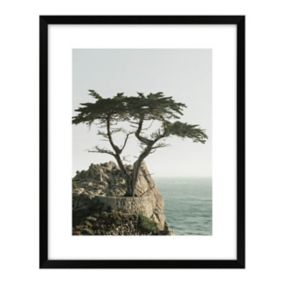 Obraz Drzewo na skale 40 x 50 cm
