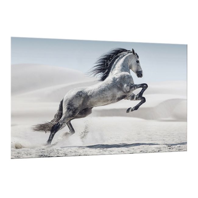 Obraz Glasspik Horse 80 x 120 cm
