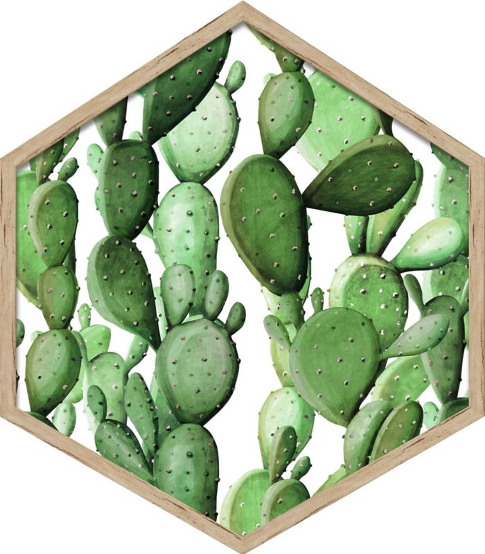 Obraz heksagonalny Kaktusy 2 35 x 40 cm