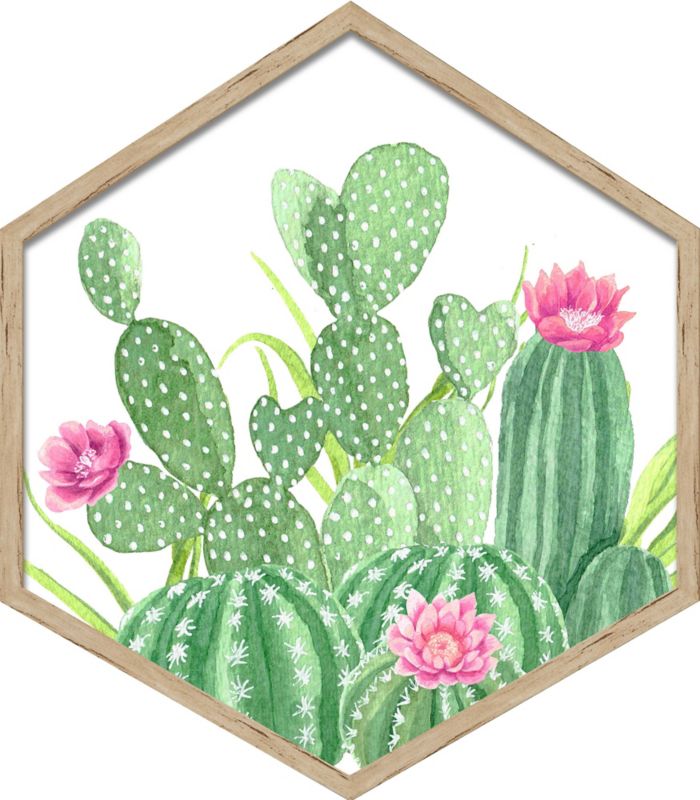 Obraz heksagonalny Kaktusy 35 x 40 cm