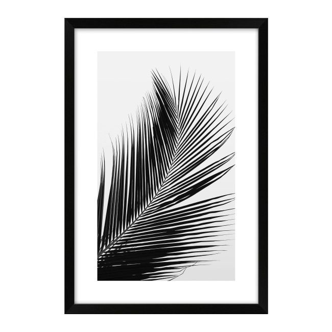 Obraz Liść palmy 60 x 90 cm