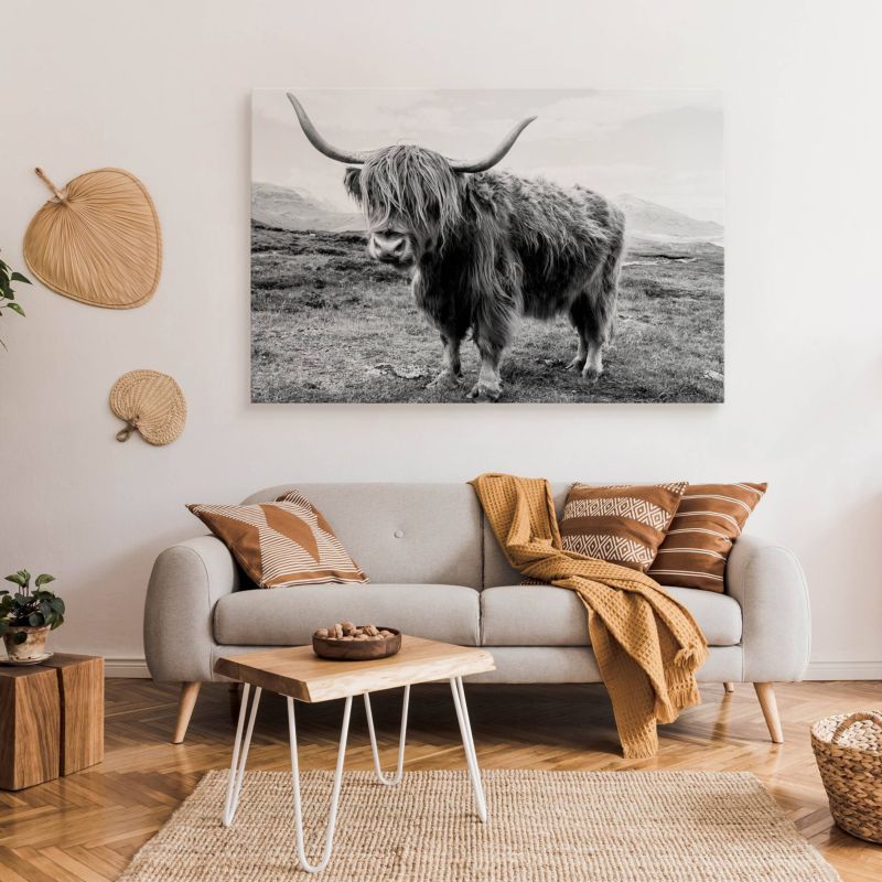 Obraz Muralo Do Salonu Krowa Szkocka Krajobraz Klify Czarno-Biały Canvas 100x70 cm 1 szt.