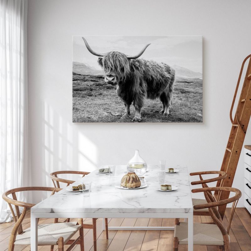 Obraz Muralo Do Salonu Krowa Szkocka Krajobraz Klify Czarno-Biały Canvas 100x70 cm 1 szt.