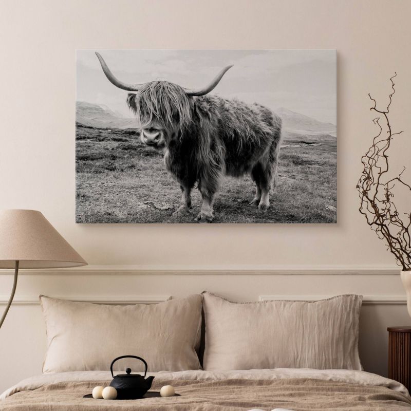 Obraz Muralo Do Salonu Krowa Szkocka Krajobraz Klify Czarno-Biały Canvas 100x70 cm 1 szt.