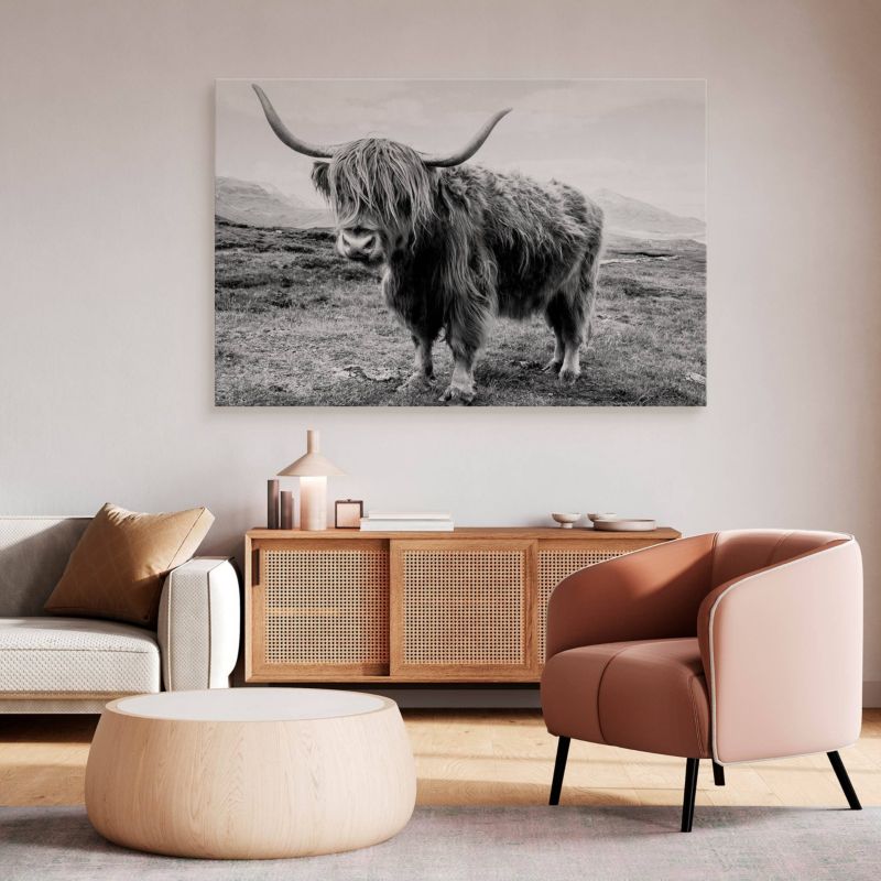 Obraz Muralo Do Salonu Krowa Szkocka Krajobraz Klify Czarno-Biały Canvas 100x70 cm 1 szt.