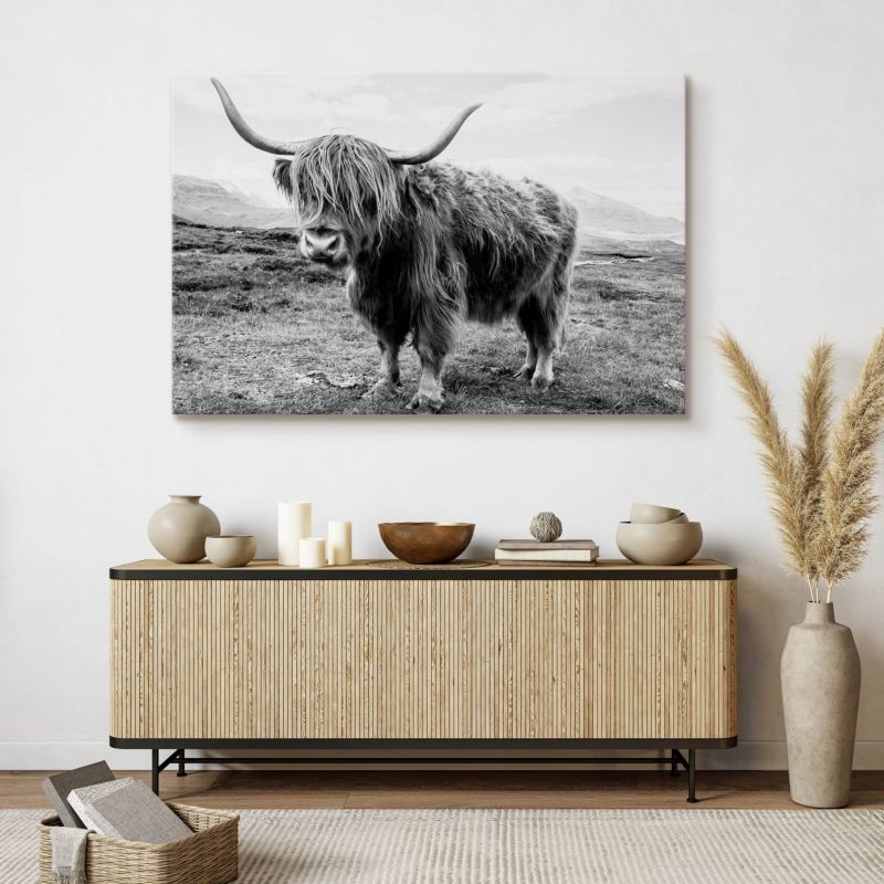 Obraz Muralo Do Salonu Krowa Szkocka Krajobraz Klify Czarno-Biały Canvas 100x70 cm 1 szt.