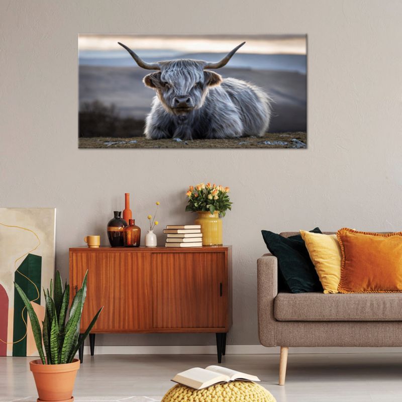 Obraz na płótnie Feeby 80x40cm Leżąca Krowa Szkocka 1 szt.