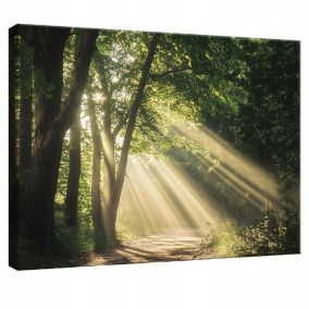 Obraz Na Płótnie WALLARENA 120x80 cm Do Sypialni Salonu Kuchni Las Natura 1 szt.