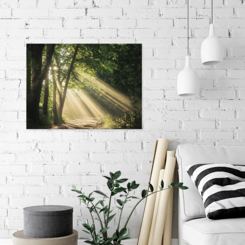 Obraz Na Płótnie WALLARENA 60x40 cm Do Sypialni Salonu Kuchni Las Natura 1 szt.