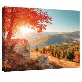 Obraz Na Płótnie WALLARENA 60x40 cm Do Sypialni Salonu Natura Krajobraz 1 szt.