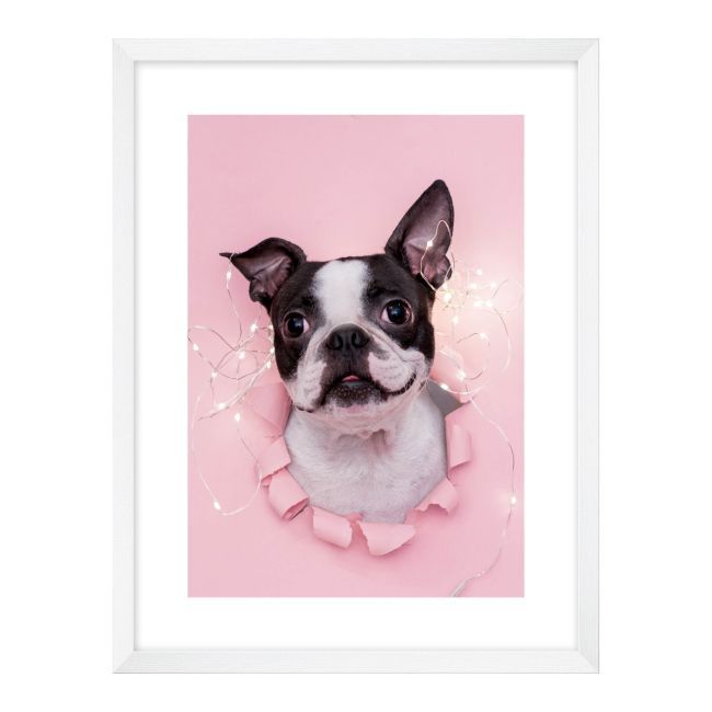 Obraz Pies różowy 30 x 40 cm