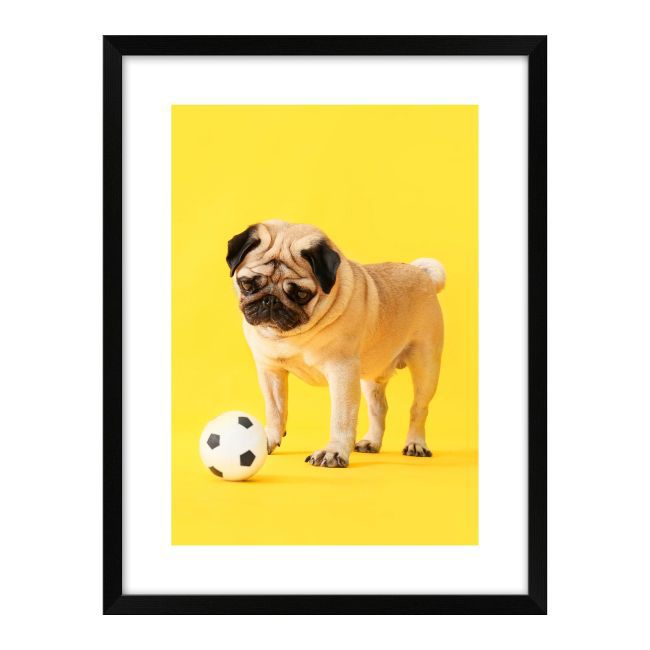Obraz Pies z piłką 30 x 40 cm