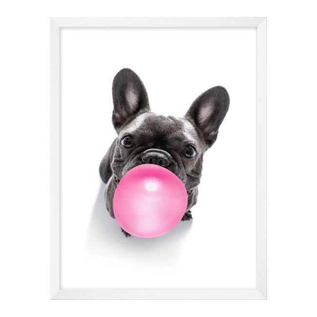 Obraz Pies z różową piłką 30 x 40 cm