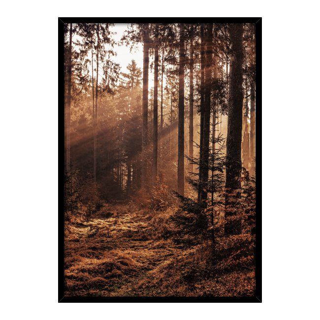 Obraz Retro forest 50 x 70 cm