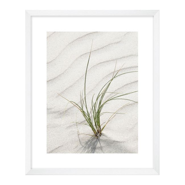 Obraz Trawy na piasku 40 x 50 cm