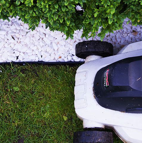Obrzeże ogrodowe Stella Garden trawnikowe 4,5 cm 60 m +200 kotew plastikowe eko 1 zestaw