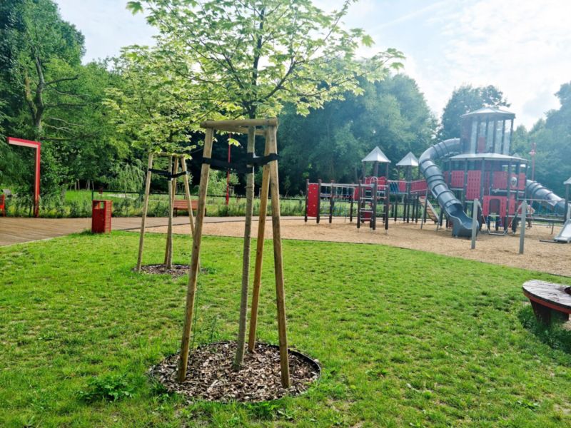 Obrzeże ogrodowe Stella Garden trawnikowe 6 cm 40 m +150 kotew eko 1 zestaw