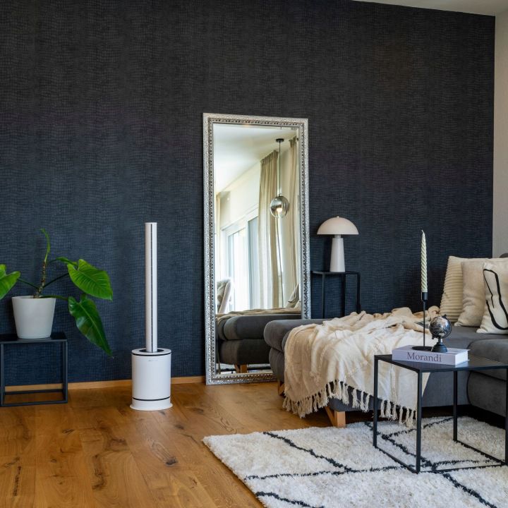Oczyszczacz powietrza Venta AP100 Hybrid 3 w 1 funkcja chłodzenia i ogrzewania biały do 70m2 1 szt.