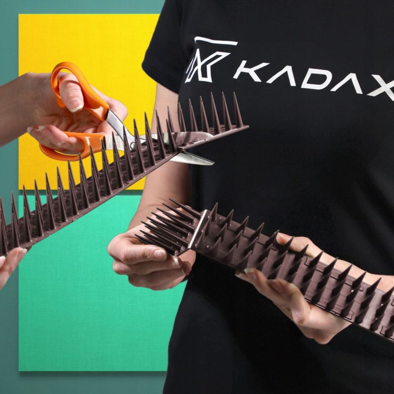 Odstraszacz Ptaków KADAX Kruk Gołębi + Kolce 6szt